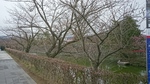DSC_0831.JPG