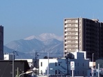 DSC_0668.JPG