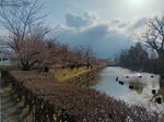 IMG_20250407_073943.jpg