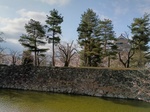 IMG_20250407_074248.jpg