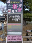 IMG_20250408_073903_1.jpg