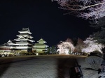 IMG_20250409_200516.jpg