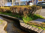 IMG_20250412_164750_1.jpg