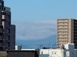 IMG_20250421_071659.jpg