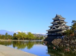 IMG_20250421_071844_1.jpg