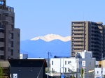 IMG_20250421_095803_1.jpg