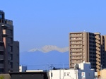 IMG_20250501_074021.jpg
